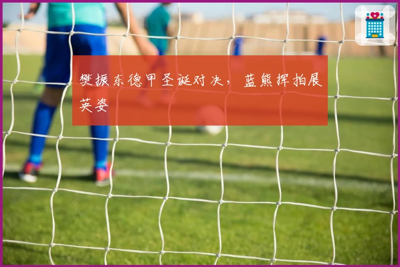 樊振东德甲圣诞对决，蓝熊挥拍展英姿